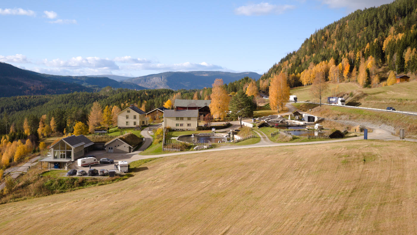 Rakfisk at Noraker Gård