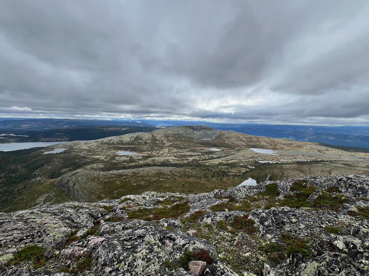 Skarvemellen