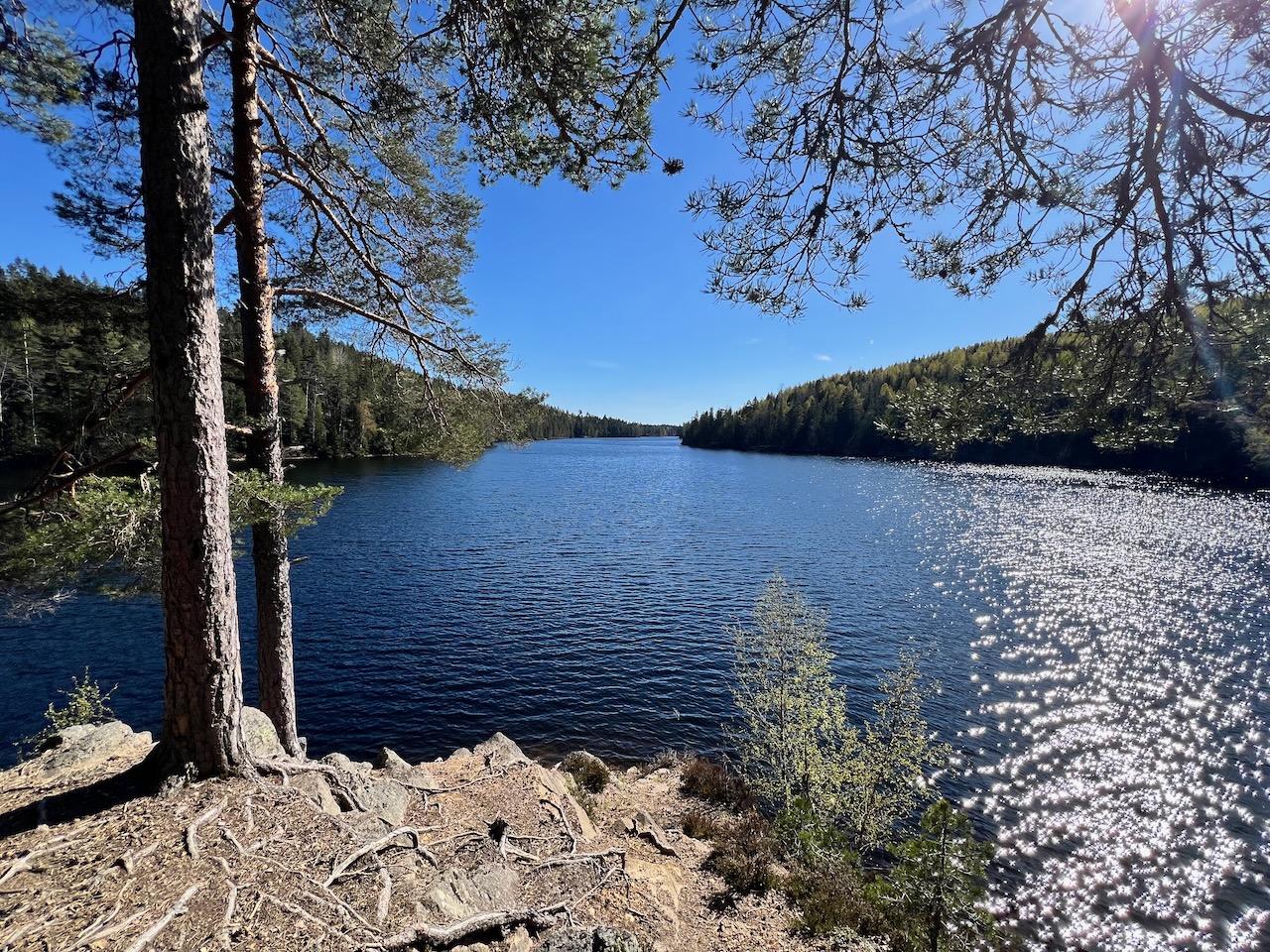 Kjekstadmarka Forest Reserve
